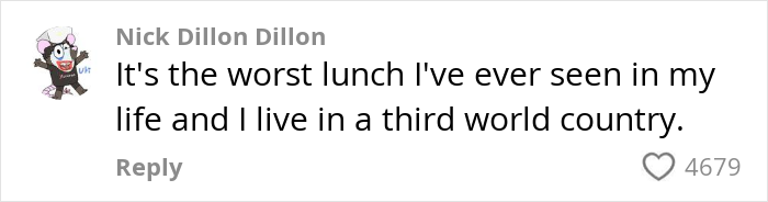 Comment from teen expressing shock about American school lunches compared to other countries&rsquo; meals.