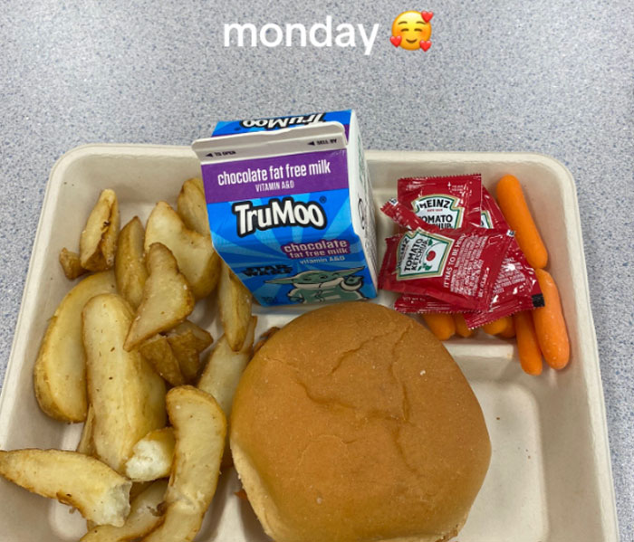 American school lunch tray with a sandwich, potato wedges, baby carrots, ketchup packets, and chocolate milk carton.