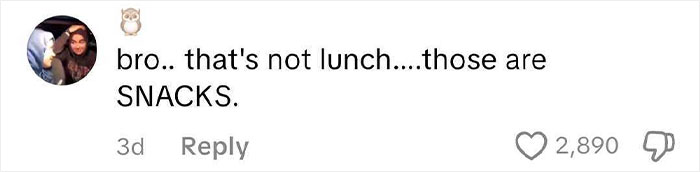 Comment saying bro that's not lunch those are snacks, highlighting reactions to American school lunches from teens online.