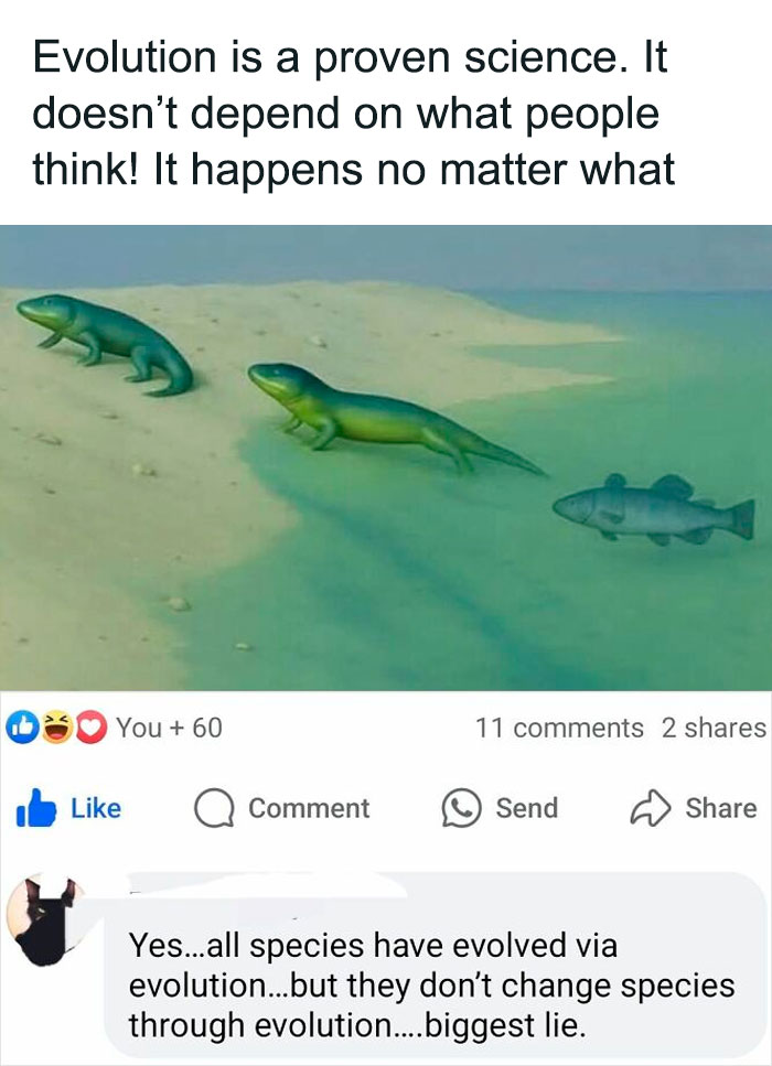 Online group shaming overconfident know-it-alls incorrectly correcting evolution science with misleading comments.