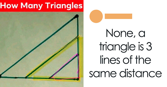 You Can’t Fix Stupid, But You Can Watch It Try To Fix Others In These 50 Iconic Self-Owns (New Pics)