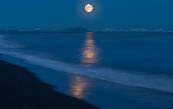 Full moon reflecting over calm ocean waves at night, setting a serene scene for moments when people said something so stupid.
