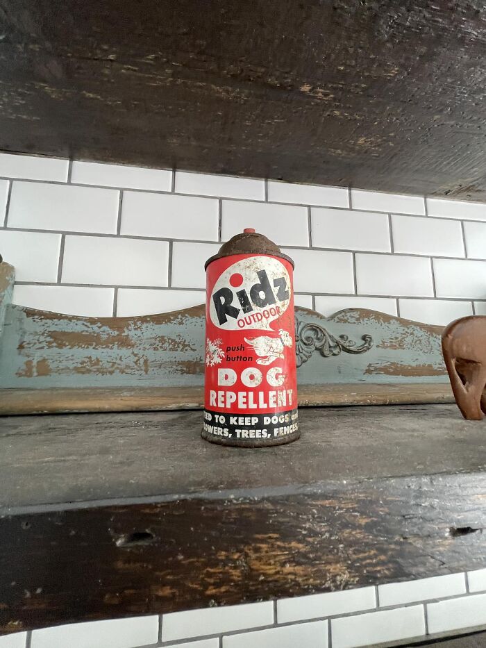 Vintage Ridz dog repellent can found in an old wooden shelf, one of the surprising things people found in their walls.