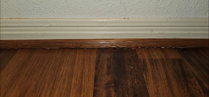 Stack of coins hidden under baseboard molding on wooden floor, one of the surprising things found in walls or other places.