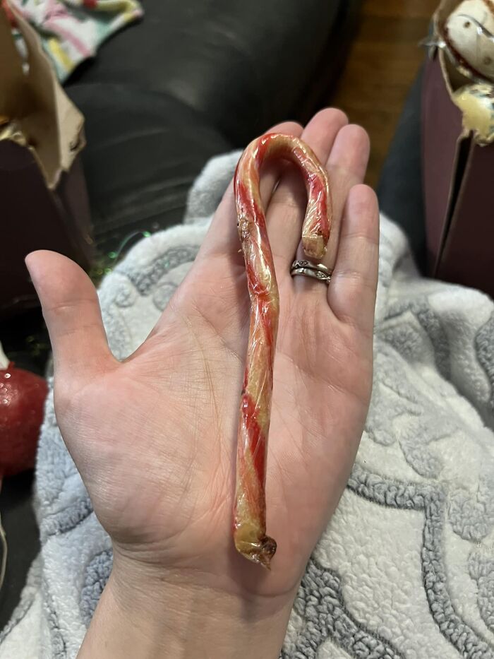 Hand holding a damaged candy cane found among things people discovered in their walls or other places that confused them.