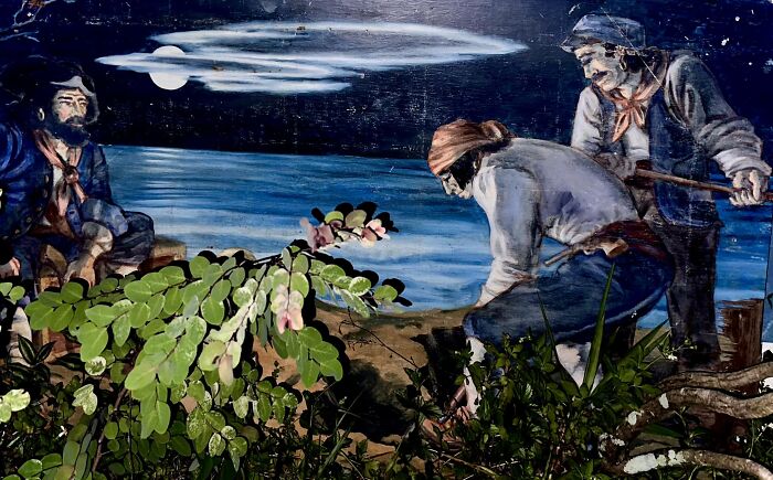 Mural of three men by the water at night surrounded by plants, depicting a confusing discovery scene indoors or outdoors.
