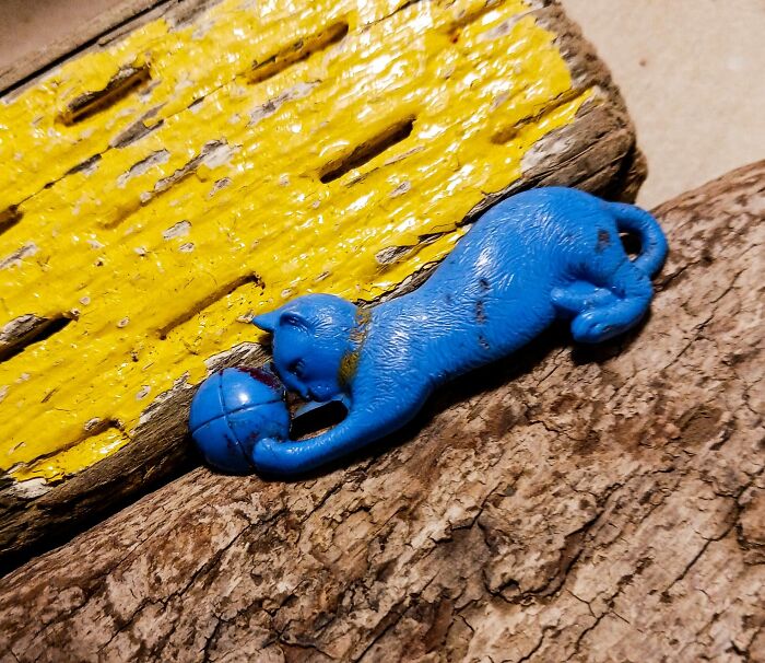 Small blue cat figurine playing with ball found among textured wood surfaces, an unusual thing people discovered in their walls.