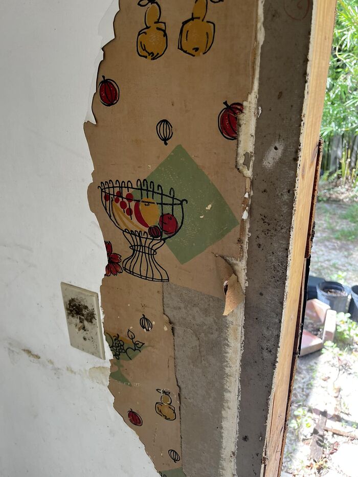 Peeling wall revealing vintage wallpaper with fruit basket design, one of the surprising things found in walls or other places.