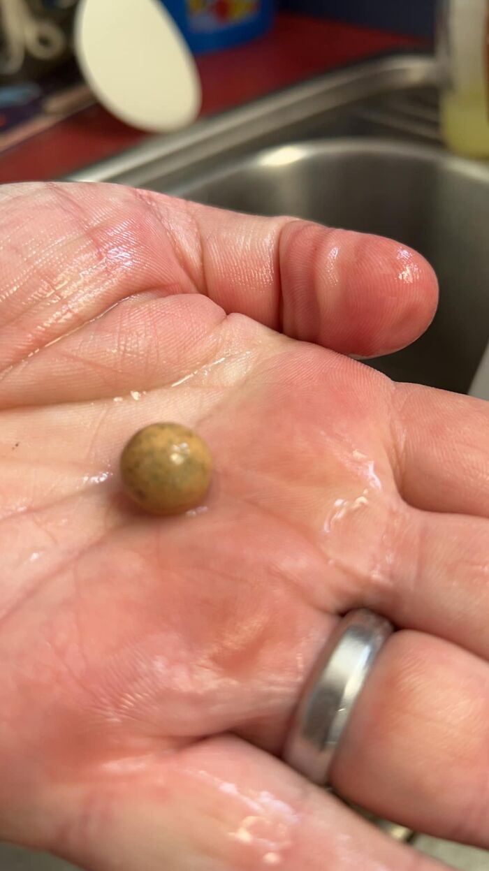 Small mysterious object found in hand, one of the surprising things people found in their walls or other places.