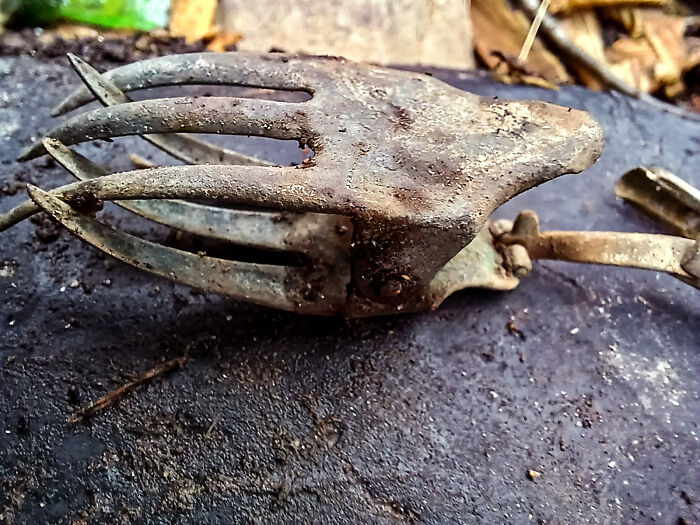Old rusty hand cultivator found in an unexpected place, one of the strange things people found in their walls or other spots.