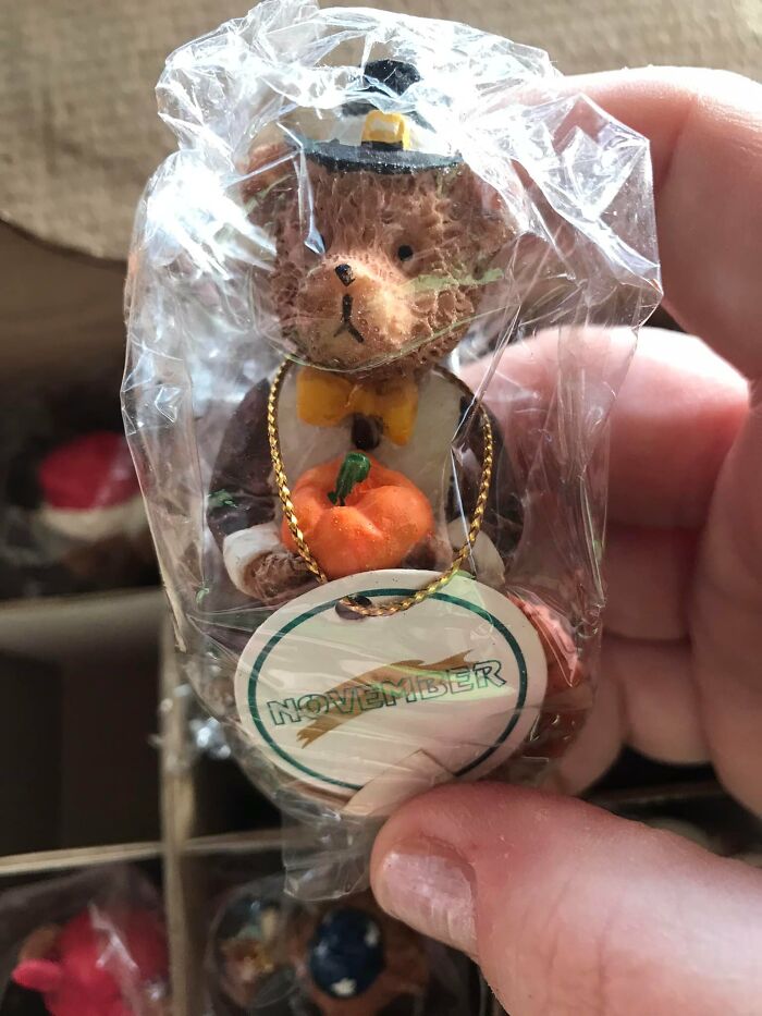 Small figurine of a bear holding a pumpkin wrapped in plastic, one of the confusing things people found in their walls.