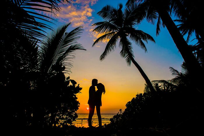 Silhouetted couple at sunset under palm trees on a beach, reflecting feelings of being big in Japan shortcomings in real life.