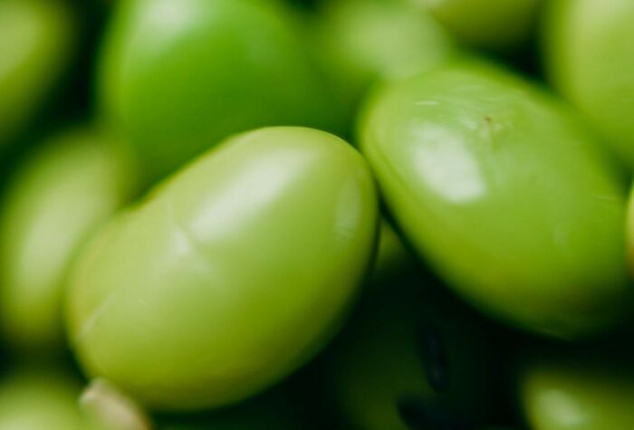 Close-up of green soybeans representing weird things couples started doing that are hard to explain in relationships.
