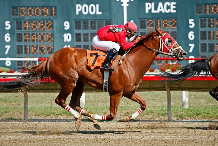 Racehorse with jockey in red racing gear competing on track with betting board in the background for hobbies that give netizens the ick