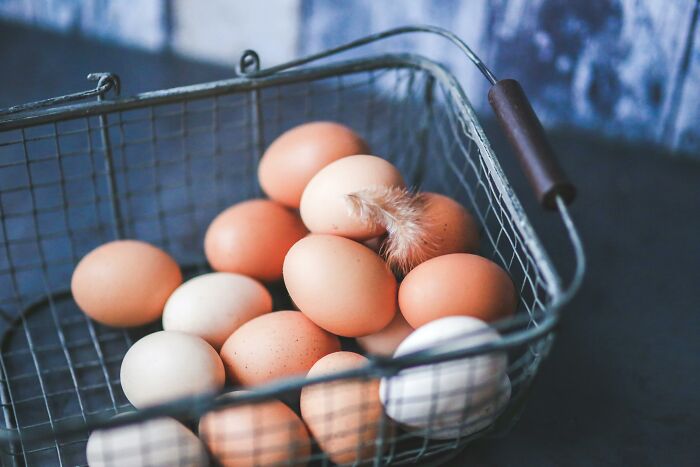 Basket of mixed brown and white eggs with a single feather, symbolizing crucial knowledge left behind in companies.
