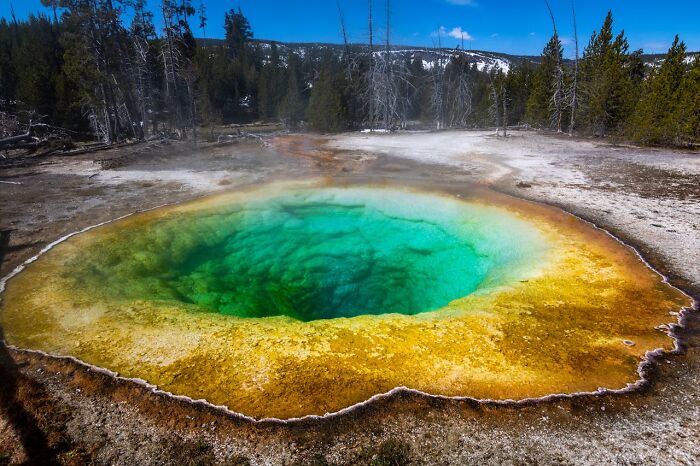 Colorful hot spring in a natural reserve with surrounding forest, illustrating a travel destination tourists might avoid.