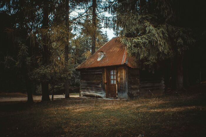 Abandoned wooden cabin with rusty roof in dark forest, evoking creepy encounters from abandoned explorers during escapades.