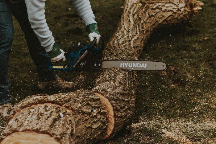 Person using a Hyundai chainsaw to cut a large tree trunk outdoors, illustrating relatable middle class activities.