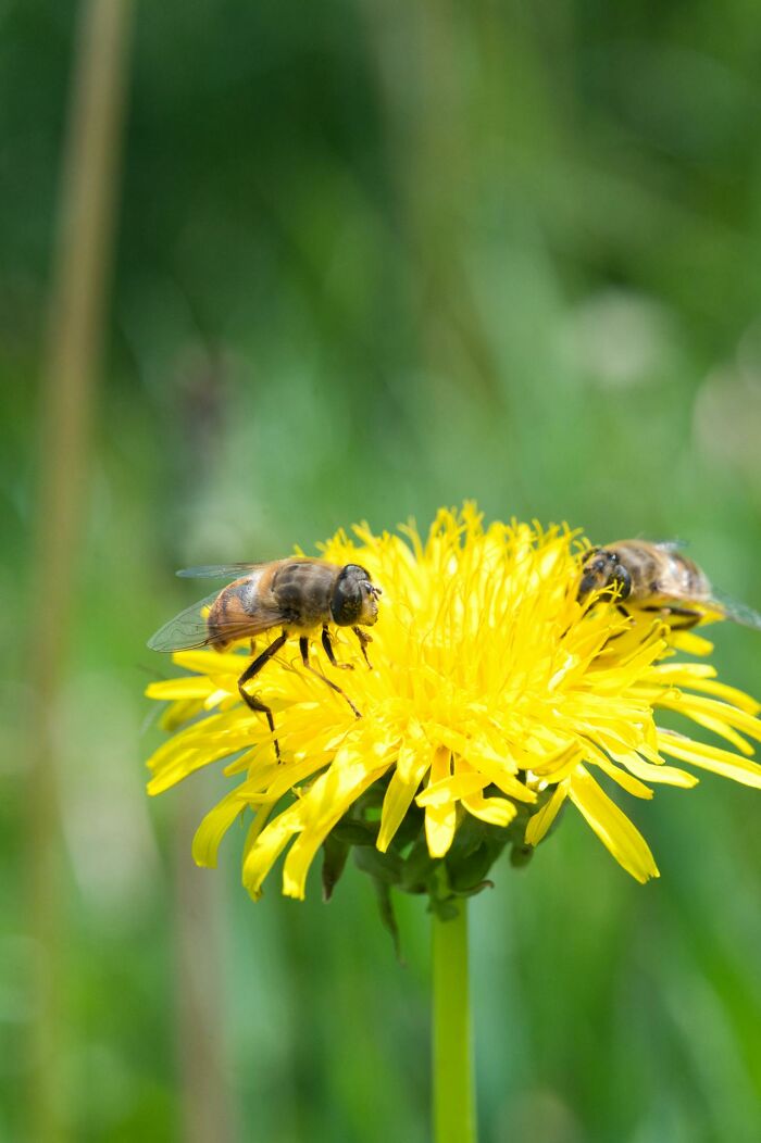 40 Women Reflect On The Wildest Lies They Once Believed From Their Exes