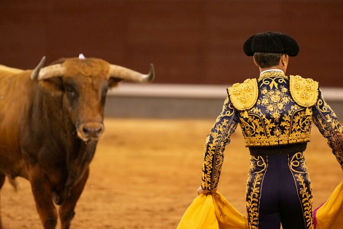 Matador dressed in traditional costume facing a bull in an arena, illustrating hobbies that give netizens the ick.