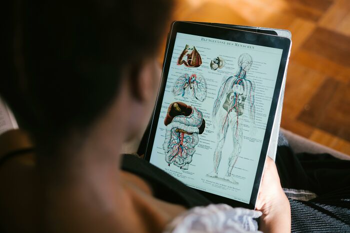 Person holding a tablet displaying detailed anatomy diagrams of the human body and internal organs for anatomy study. Person holding a tablet displaying detailed anatomy diagrams of the human body and internal organs for anatomy study.