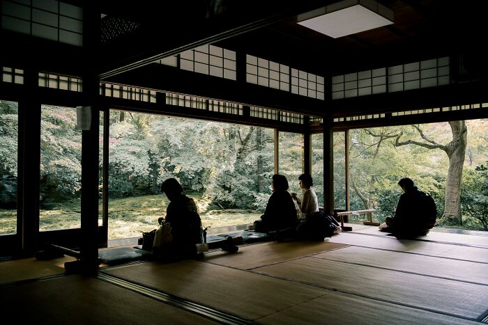 Silhouettes of people sitting inside traditional Japanese room overlooking a serene garden, reflecting on being big in Japan.