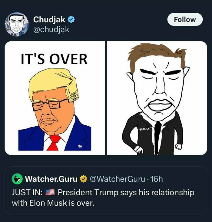 Cartoon of President Trump and Elon Musk with text about their relationship ending, shared in a post that made people go hmmm.