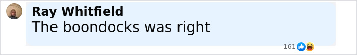 Comment by Ray Whitfield saying The boondocks was right, displayed on a light blue background with reactions below.