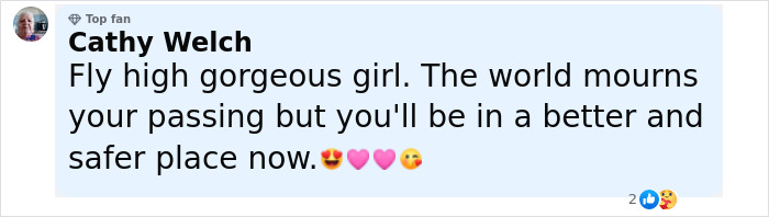 Commenter Cathy Welch expressing grief and mourning a teen mourner chasing after hearse at Pheobe Bishop's funeral.