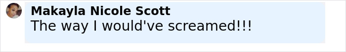 Commenter Makayla Nicole Scott reacts with text saying The way I would've screamed in a social media style comment box.