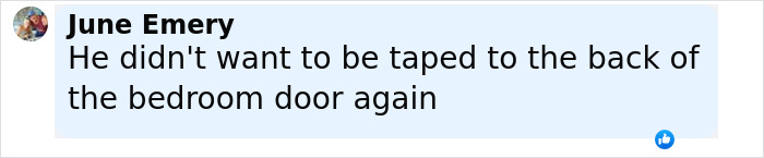 Screenshot of a social media comment by June Emery about a bedroom door, related to Malcolm In The Middle Dewey comeback. Screenshot of a social media comment by June Emery about a bedroom door, related to Malcolm In The Middle Dewey comeback.