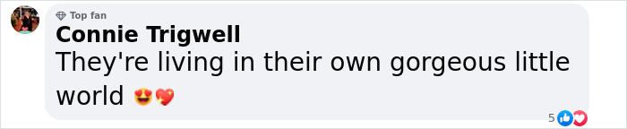 Comment by Connie Trigwell calling their relationship a gorgeous little world with heart and starry emojis on a social media post.