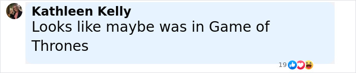 Social media comment discussing a connection to Game of Thrones, related to Norwegian Crown Princess&rsquo;s son charges.