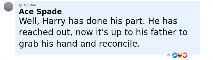 Comment from a social media user discussing Prince Harry&rsquo;s call for reconciliation and King Charles&rsquo;s Father&rsquo;s Day message.