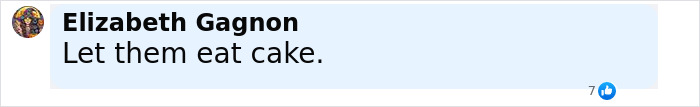 Comment by Elizabeth Gagnon expressing criticism with the phrase Let them eat cake amid mass fury after Bezos lavish wedding details release. Comment by Elizabeth Gagnon expressing criticism with the phrase Let them eat cake amid mass fury after Bezos lavish wedding details release.