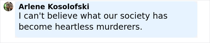 Alt text: User Arlene Kosolofski commenting about society becoming heartless murderers related to man trapped in hospital story