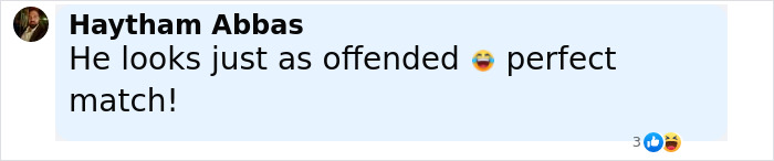 Comment by Haytham Abbas with laughing emojis, reacting to a discussion about Greta Thunberg and photographer Chris Kebbo.