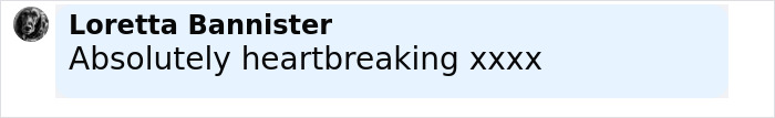Comment from user Loretta Bannister expressing heartbreak in a social media post about a single mom with early-onset Alzheimer's.