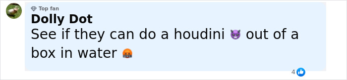 Three Men Who Brutalized Two Victims And Left Them In Toolbox Receive 30-Year Prison Terms