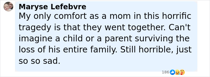 Comment expressing sorrow about family loss in Air India plane tragedy with final moment photo captured inside plane.