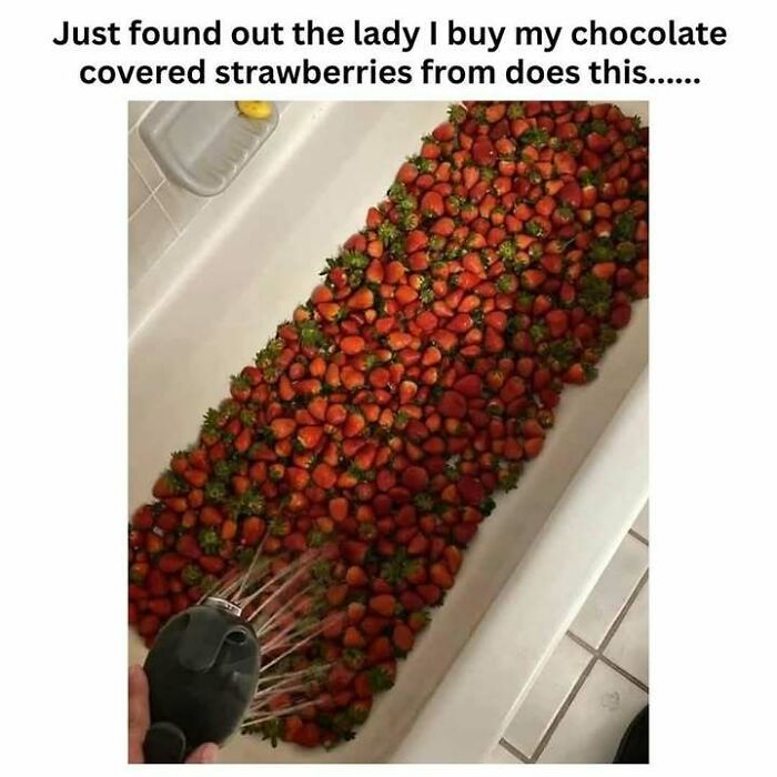 A bathtub filled with fresh strawberries being rinsed, an unusual sight that prompts curiosity and sharing.