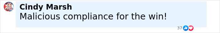 Comment by Cindy Marsh saying Malicious compliance for the win on a light background with reaction icons below.