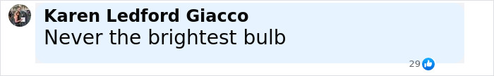 Screenshot of a social media comment criticizing intelligence with 29 likes, related to Ivanka Trump and Jeff Bezos wedding location. Screenshot of a social media comment criticizing intelligence with 29 likes, related to Ivanka Trump and Jeff Bezos wedding location.