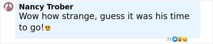 Prince William's Billionaire Friend, 53, Suddenly Passes Away During Polo Match Prince William's Billionaire Friend, 53, Suddenly Passes Away During Polo Match