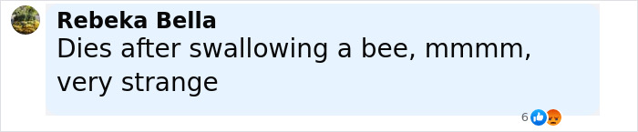 Prince William's Billionaire Friend, 53, Suddenly Passes Away During Polo Match Prince William's Billionaire Friend, 53, Suddenly Passes Away During Polo Match