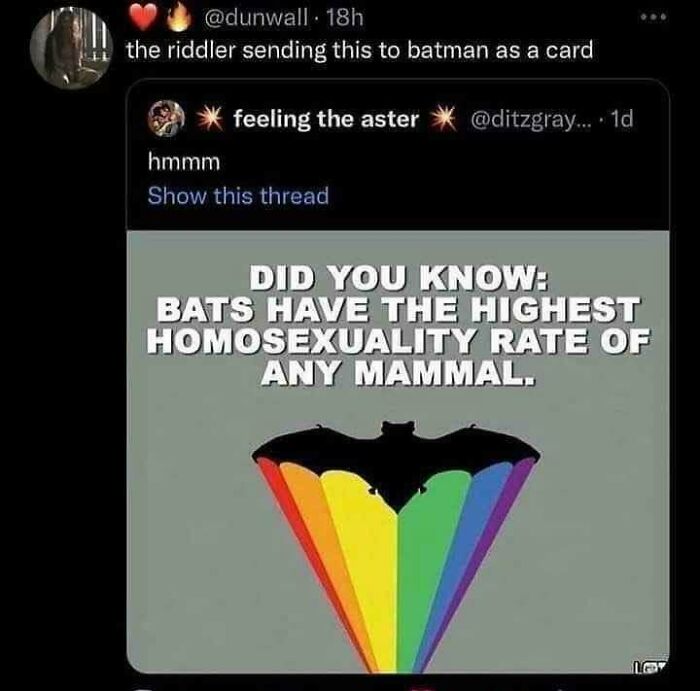 Funny social media post about bats having the highest homosexuality rate, sparking curiosity and sharing moments.
