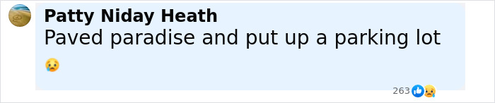 New Pics Show Rose Garden Bulldozed And Paved Over In Trump&rsquo;s White House Redesign