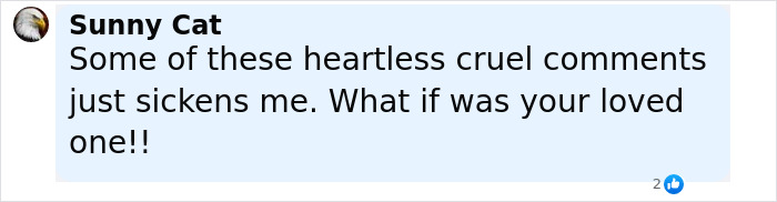 Comment by Sunny Cat expressing sadness over heartless comments related to plastic surgery tragedy involving a singer and surgeon.