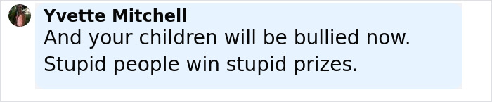 Comment from Yvette Mitchell criticizing bullying and stupidity in response to a controversial incident involving a pickup truck and a child's injury.