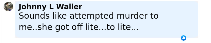 Comment from Johnny L Waller expressing opinion that incident sounds like attempted murder and the sentence was too light